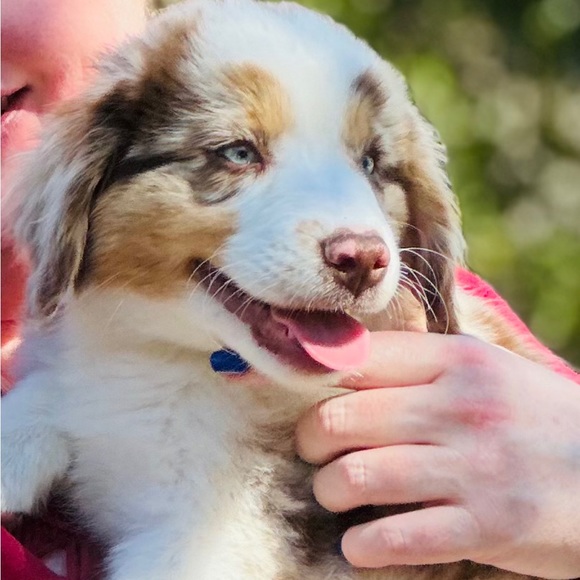 Meet your Posher, Nancy - Picture 2 of 7